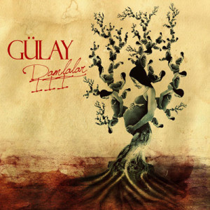 gulay-damlalar13